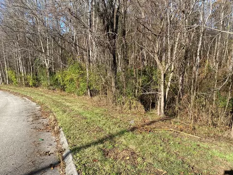 8070 W Pointe Dr, Talbott, TN 37877 photo 6
