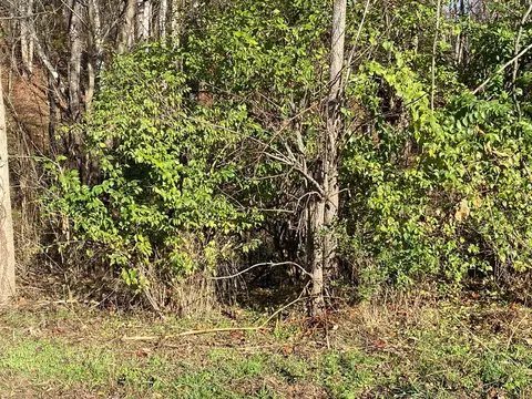 8070 W Pointe Dr, Talbott, TN 37877 photo 10