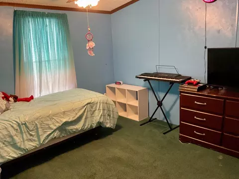 272 Meadowood Dr, Talbott, TN 37877 photo 17