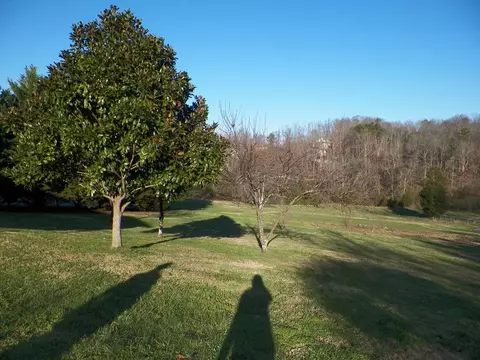 8097 Hulls Mill Rd, Talbott, TN 37877 photo 30