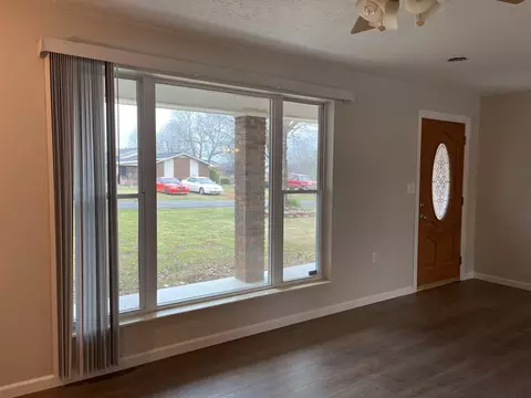 390 Lanier Dr, Talbott, TN 37877 photo 9