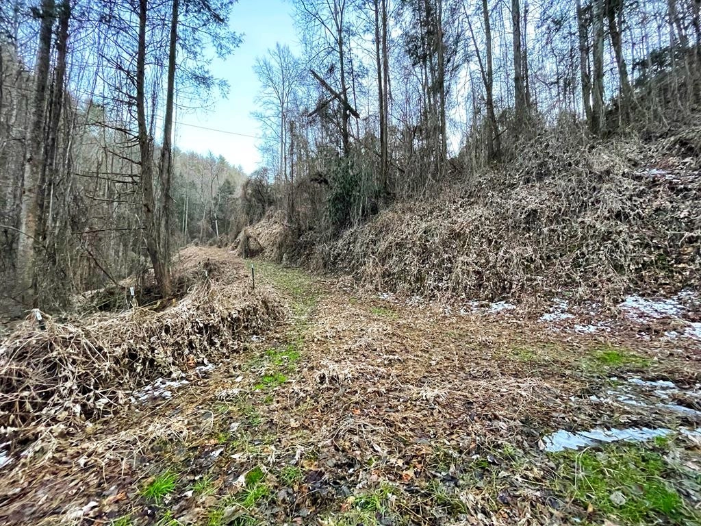 16 Acres Old 15th