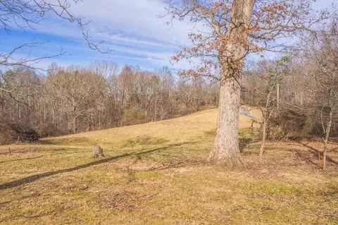 825 Yellow Brick Rd, Talbott, TN 37877 photo 14