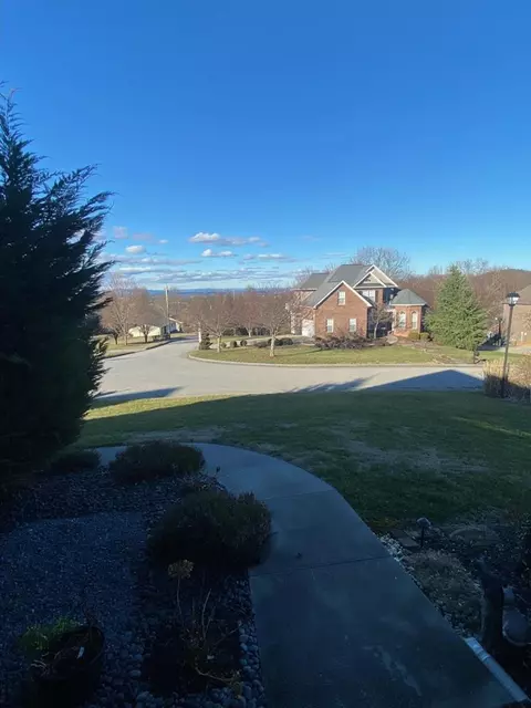 115 Sunset Meadows Ct, Gray, TN 37615 photo 38
