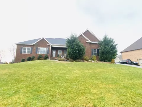 115 Sunset Meadows Ct, Gray, TN 37615 photo 2