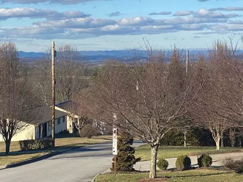 115 Sunset Meadows Ct, Gray, TN 37615 photo 36