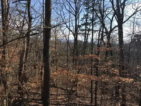 lot838 Iron Gate Dr, White Pine, TN 37890