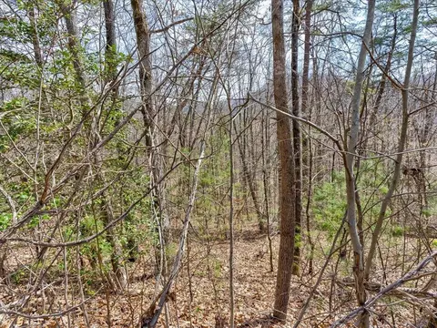 lot78 79 Bear Track Way, Del Rio, TN 37727