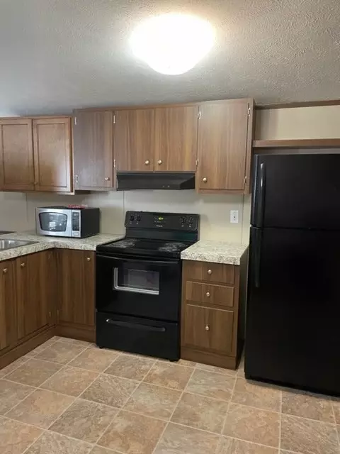 869 S Chucky Pike, Talbott, TN 37877 photo 6