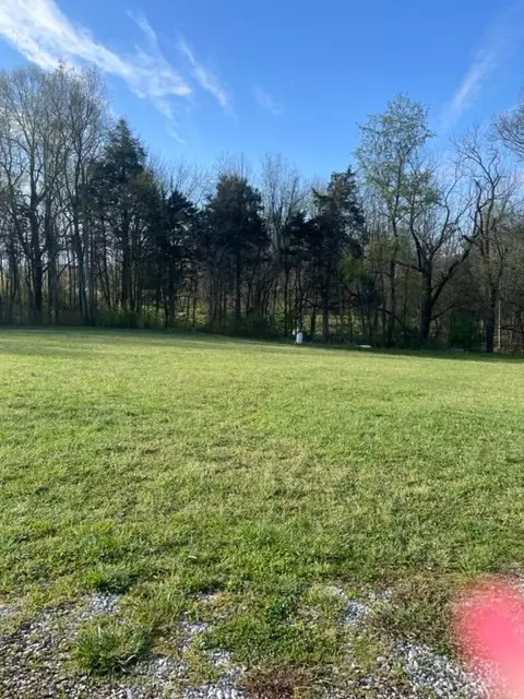 869 S Chucky Pike, Talbott, TN 37877 photo 3