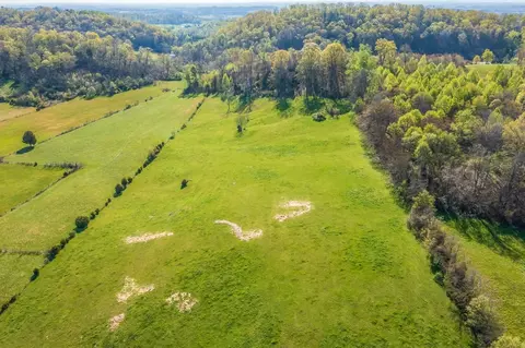 2024 Mansfield Gap, Talbott, TN 37877 photo 17