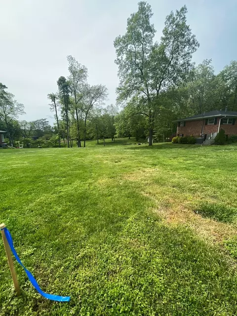 653 Dogwood Ln, Talbott, TN 37877 photo 3