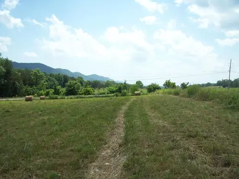 0 Alanthus Hill Rd, Tazewell, TN 37879