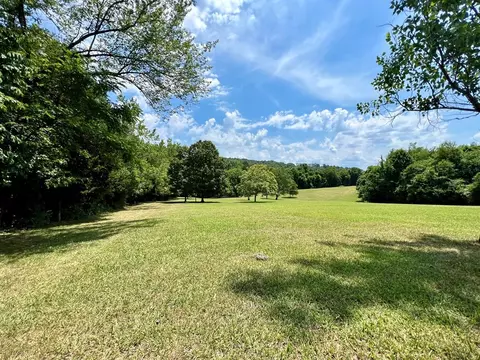 808 Parsonage Rd, White Pine, TN 37890 photo 28