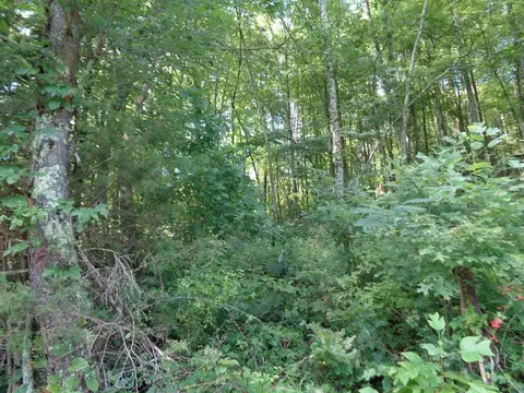 0 Poor Valley Rd, Rutledge, TN 37861 photo 8