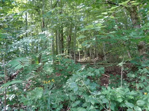 0 Poor Valley Rd, Rutledge, TN 37861 photo 13