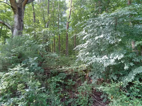 0 Poor Valley Rd, Rutledge, TN 37861 photo 12