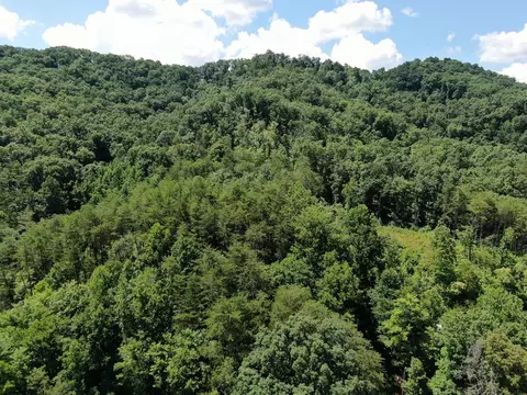 0 Poor Valley Rd, Rutledge, TN 37861 photo 15