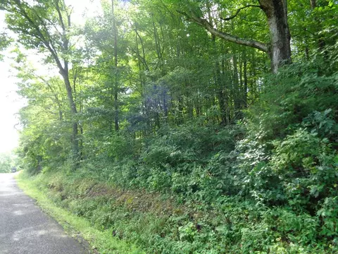 0 Poor Valley Rd, Rutledge, TN 37861 photo 1