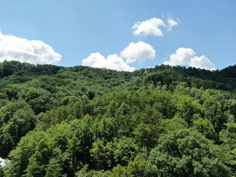 0 Poor Valley Rd, Rutledge, TN 37861 photo 17