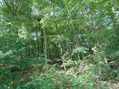 0 Poor Valley Rd, Rutledge, TN 37861 photo 3