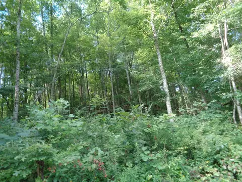 0 Poor Valley Rd, Rutledge, TN 37861 photo 9