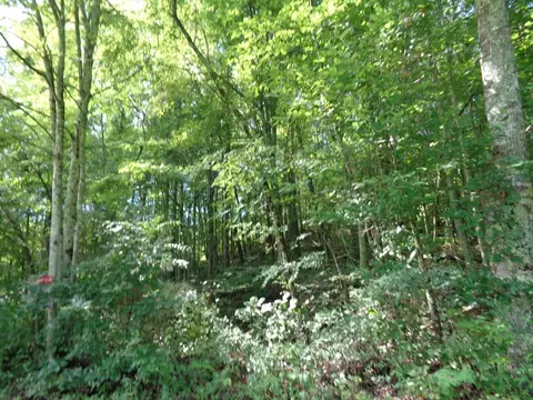 0 Poor Valley Rd, Rutledge, TN 37861 photo 2