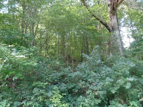 0 Poor Valley Rd, Rutledge, TN 37861 photo 10