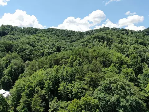 0 Poor Valley Rd, Rutledge, TN 37861 photo 14