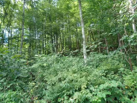 0 Poor Valley Rd, Rutledge, TN 37861 photo 6