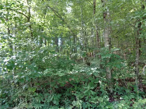 0 Poor Valley Rd, Rutledge, TN 37861 photo 4