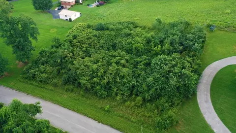 2337 Keetoowah Trl, Talbott, TN 37877 photo 3