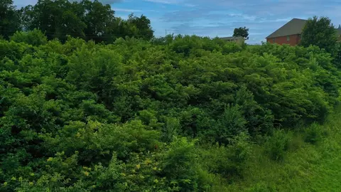 2337 Keetoowah Trl, Talbott, TN 37877 photo 4