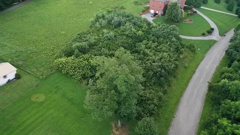 2337 Keetoowah Trl, Talbott, TN 37877 photo 2
