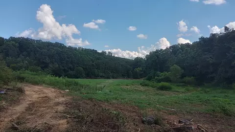 2242 Mansfield Gap Rd, Talbott, TN 37877 photo 40