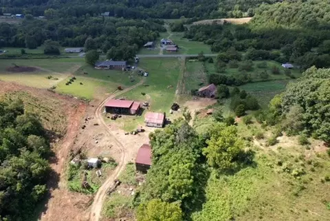 2242 Mansfield Gap Rd, Talbott, TN 37877 photo 46