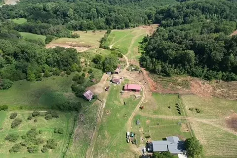 2242 Mansfield Gap Rd, Talbott, TN 37877 photo 43