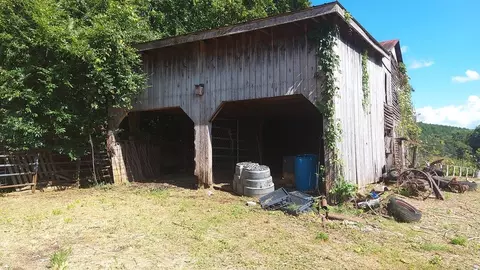 2242 Mansfield Gap Rd, Talbott, TN 37877 photo 36