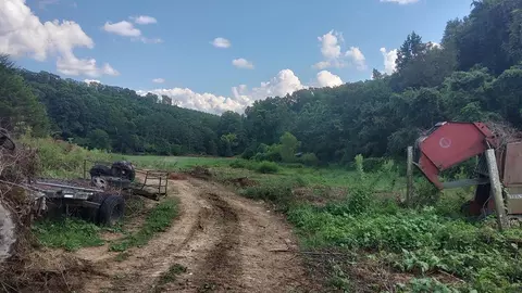 2242 Mansfield Gap Rd, Talbott, TN 37877 photo 41