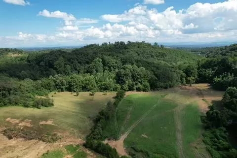 2242 Mansfield Gap Rd, Talbott, TN 37877 photo 44