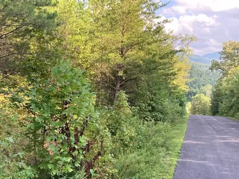 3733 Huff Overlook, Del Rio, TN 37725