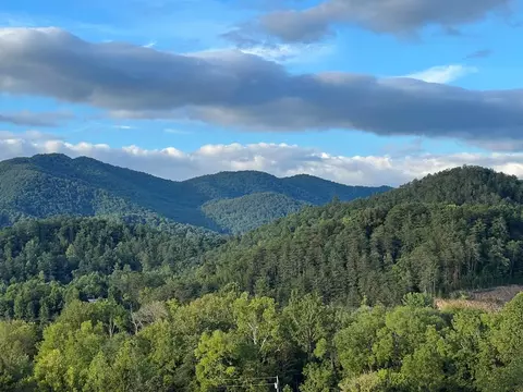 000 Catnip Rd, Del Rio, TN 37727