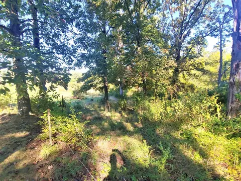1834 Eller Rd, Talbott, TN 37877 photo 32