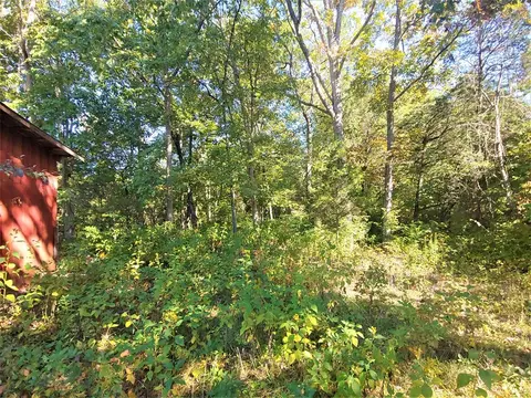 1834 Eller Rd, Talbott, TN 37877 photo 30