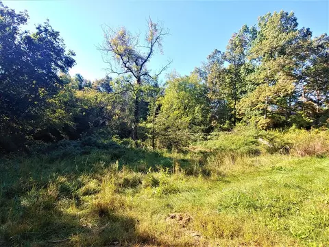 1834 Eller Rd, Talbott, TN 37877 photo 27