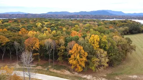 lot Apt 61 Sunset Blvd, White Pine, TN 37890