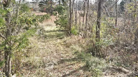 507 Phillipi Rd, Mohawk, TN 37810 photo 13