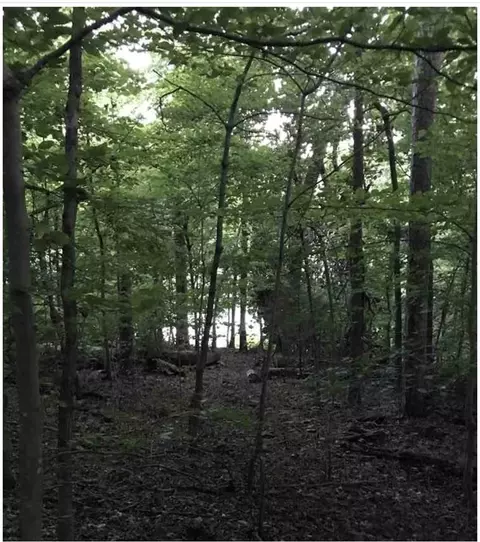 7689 W Pierce Dr, Talbott, TN 37877 photo 3