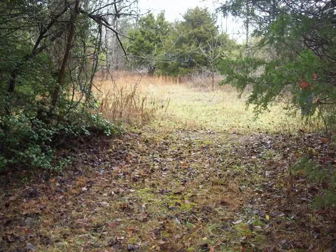 Off Sinks Road, Sneedville, TN 37869
