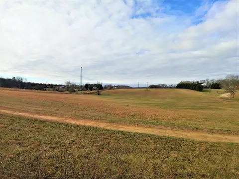 843 Parsonage Rd, White Pine, TN 37890 photo 4